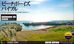 ビーチボーイズバイブル